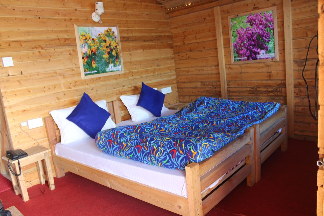 Blue Poppy Resorts Joshīmath Zewnętrze zdjęcie